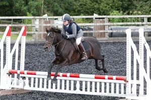 Class 4 - Fences 2'3 to 2'6